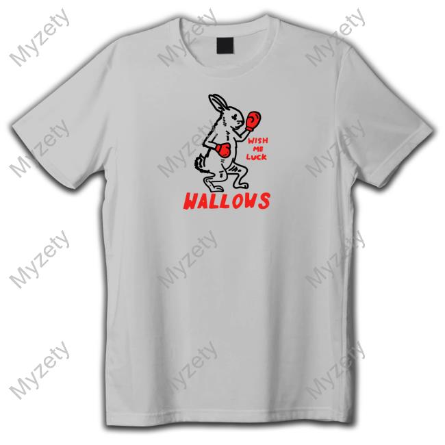 Wallows Music Store Wish Me Luck T Shirt