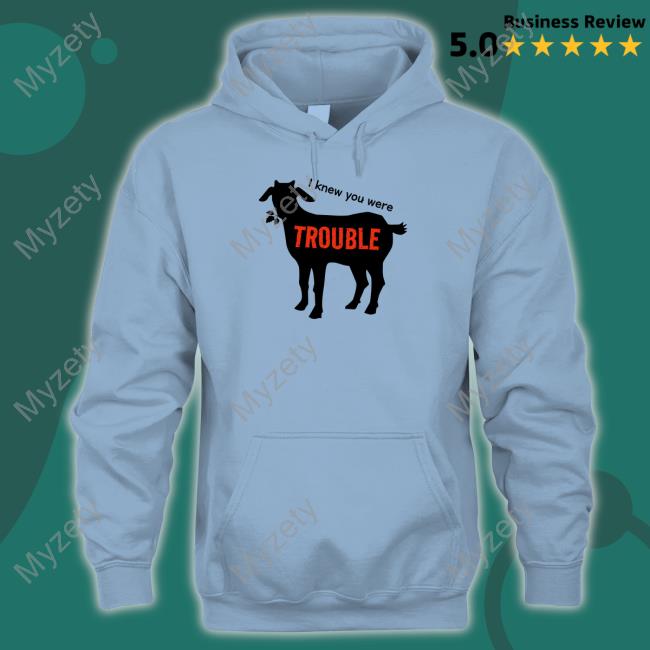 I Knew You Were Trouble Hoodie